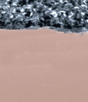 Polymer Coating Composition